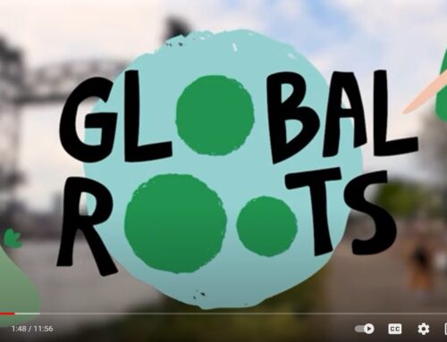 Global Roots åbner op for en mere bæredygtig verden